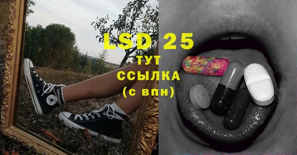 тгк Нея