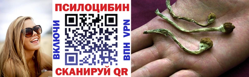 Галлюциногенные грибы прущие грибы Салаир